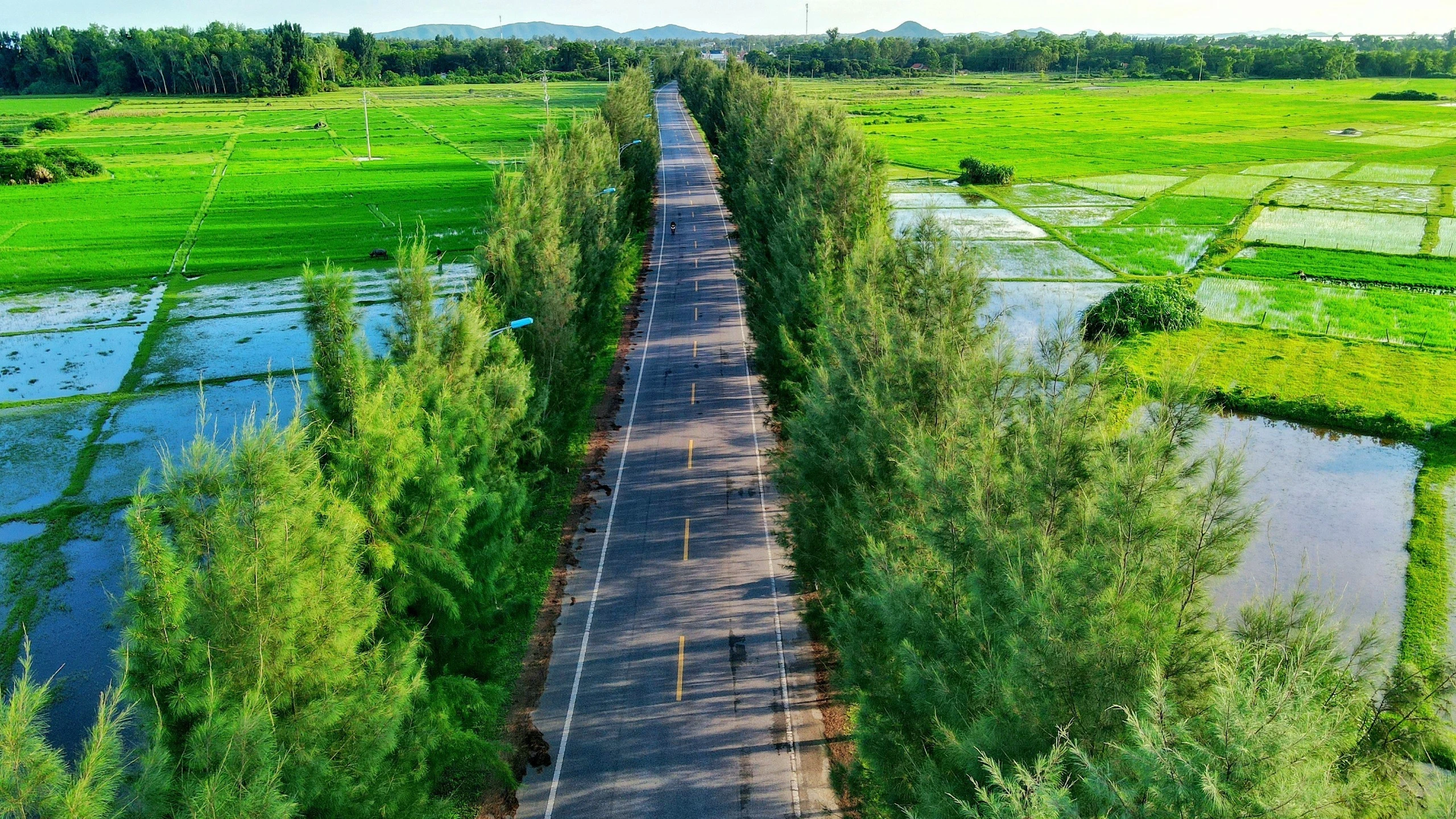 Một ngày làm ngư dân ở biển xanh Móng Cái: Săn hải sản ăn liền, đạp xe giữa hàng dương ảnh 4 Một ngày làm ngư dân ở biển xanh Móng Cái: Săn hải sản ăn liền, đạp xe giữa hàng dương ảnh 4