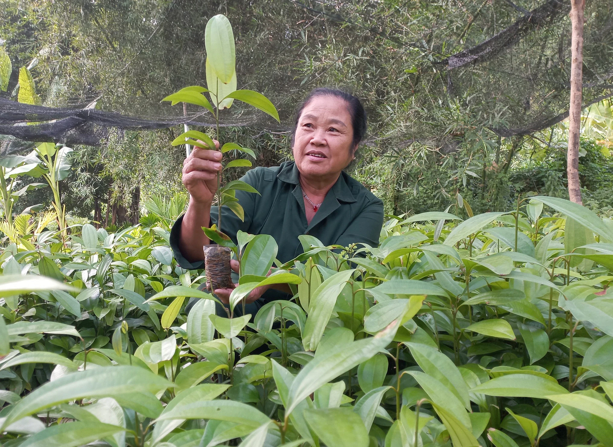 Nữ cựu chiến binh Trịnh Thị Mát, thôn Củm Hạ, xã Đồng Tuyển, thành phố Lào Cai.