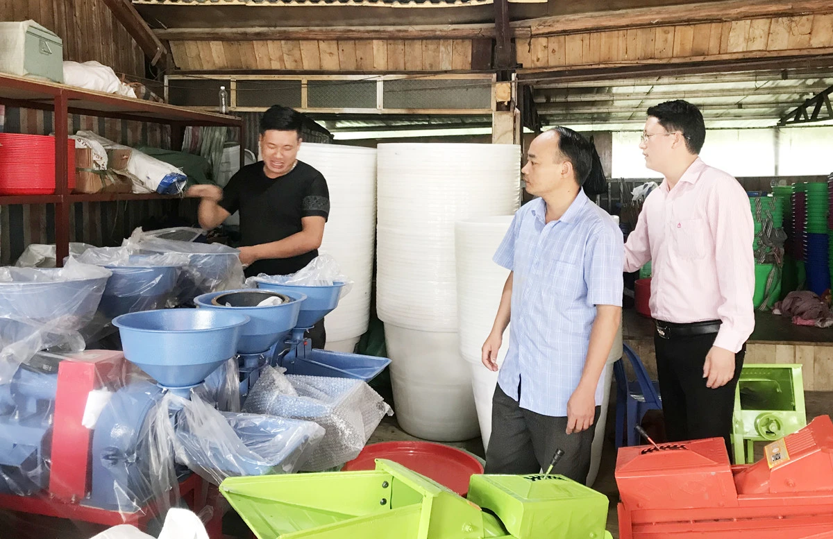 Nhờ nguồn vốn vay ưu đãi, nhiều gia đình có điều kiện phát triển chăn nuôi.