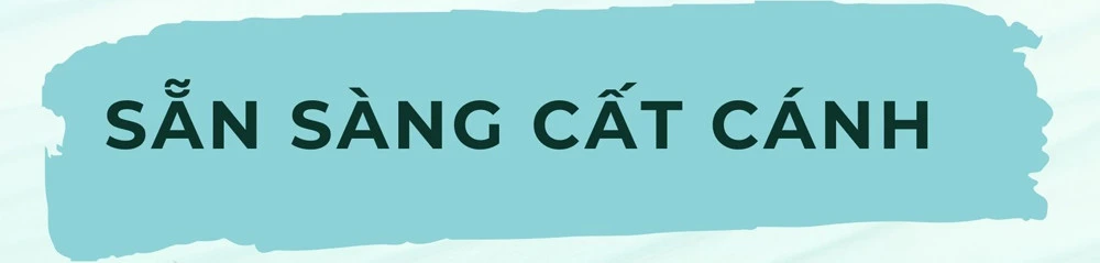 Giấc mơ bay cao và khát vọng phát triển ảnh 2