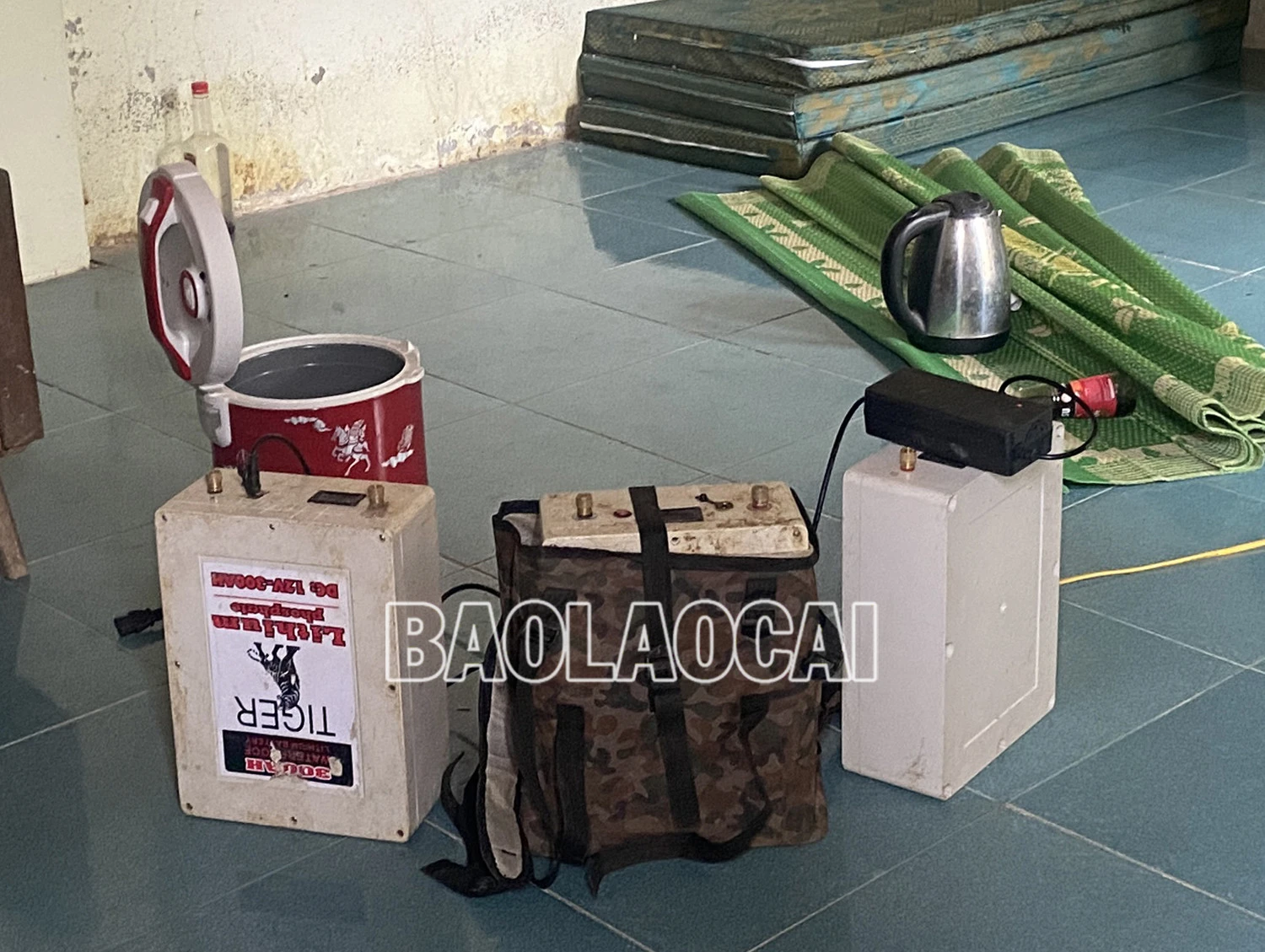 Buộc một cơ sở thu mua, sơ chế giun đất tại xã Phong Niên (Bảo Thắng) dừng hoạt động ảnh 3