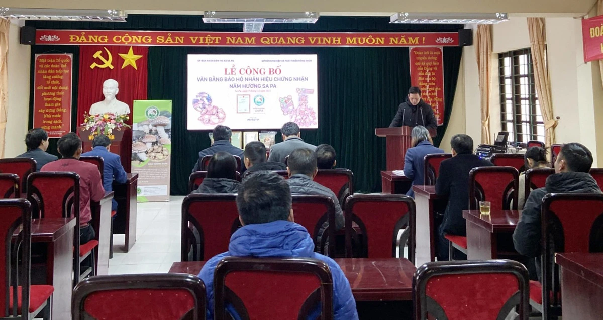 Quang cảnh lễ công bố.