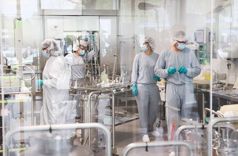 Omicron nguy hiểm không kém các biến thể khác của virus SARS-CoV-2 ảnh 2