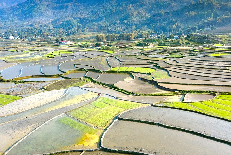 Hợp Thành mùa nước đổ: Bức bích họa của thành phố Lào Cai ảnh 7