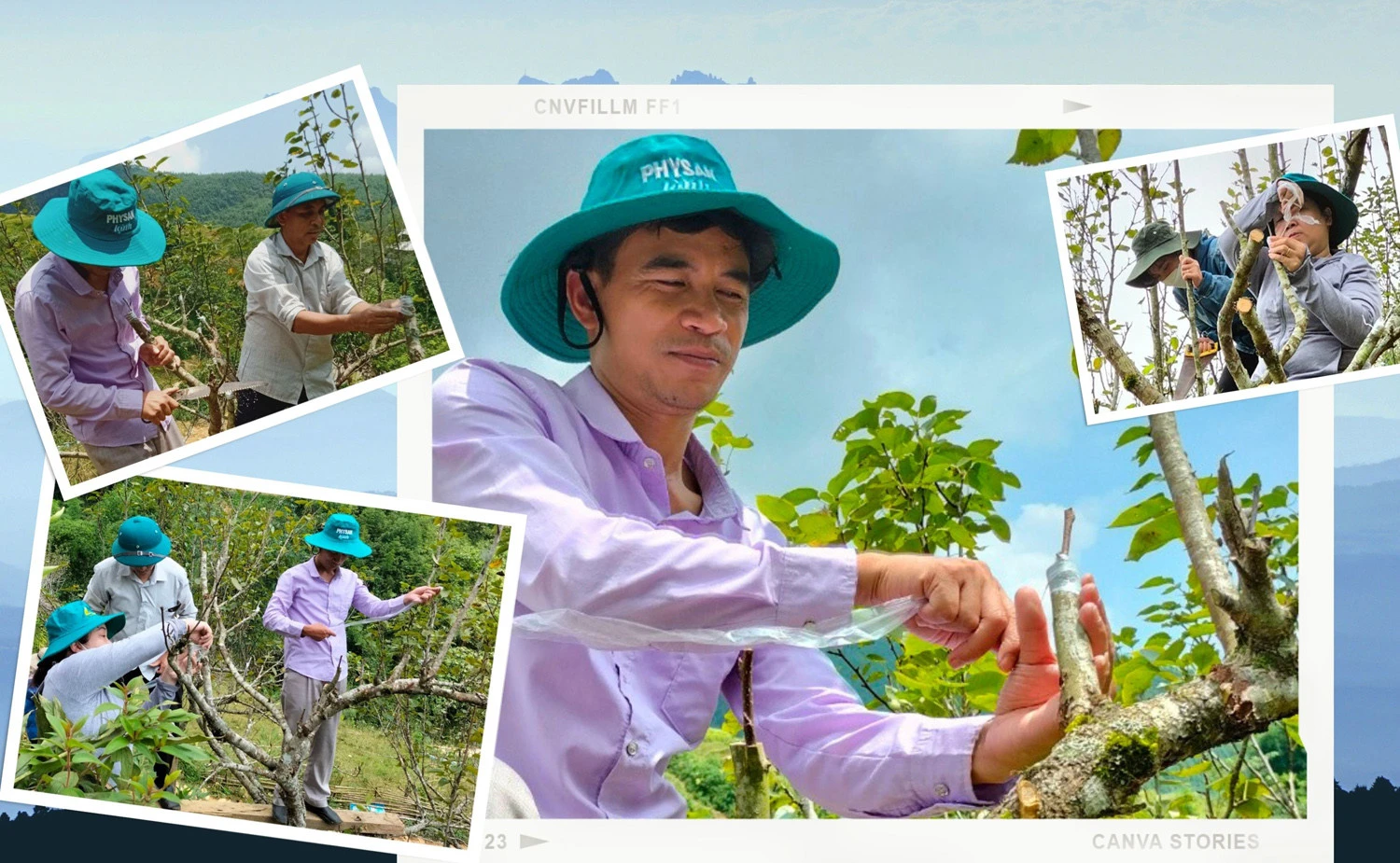 Nếu thành công, việc ghép mắt sẽ triển khai đại trà.