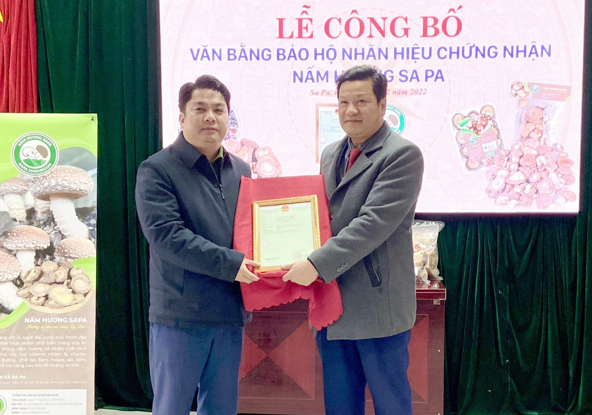 Trao Giấy chứng nhận đăng ký nhãn hiệu chứng nhận nấm hương Sa Pa cho UBND thị xã Sa Pa.