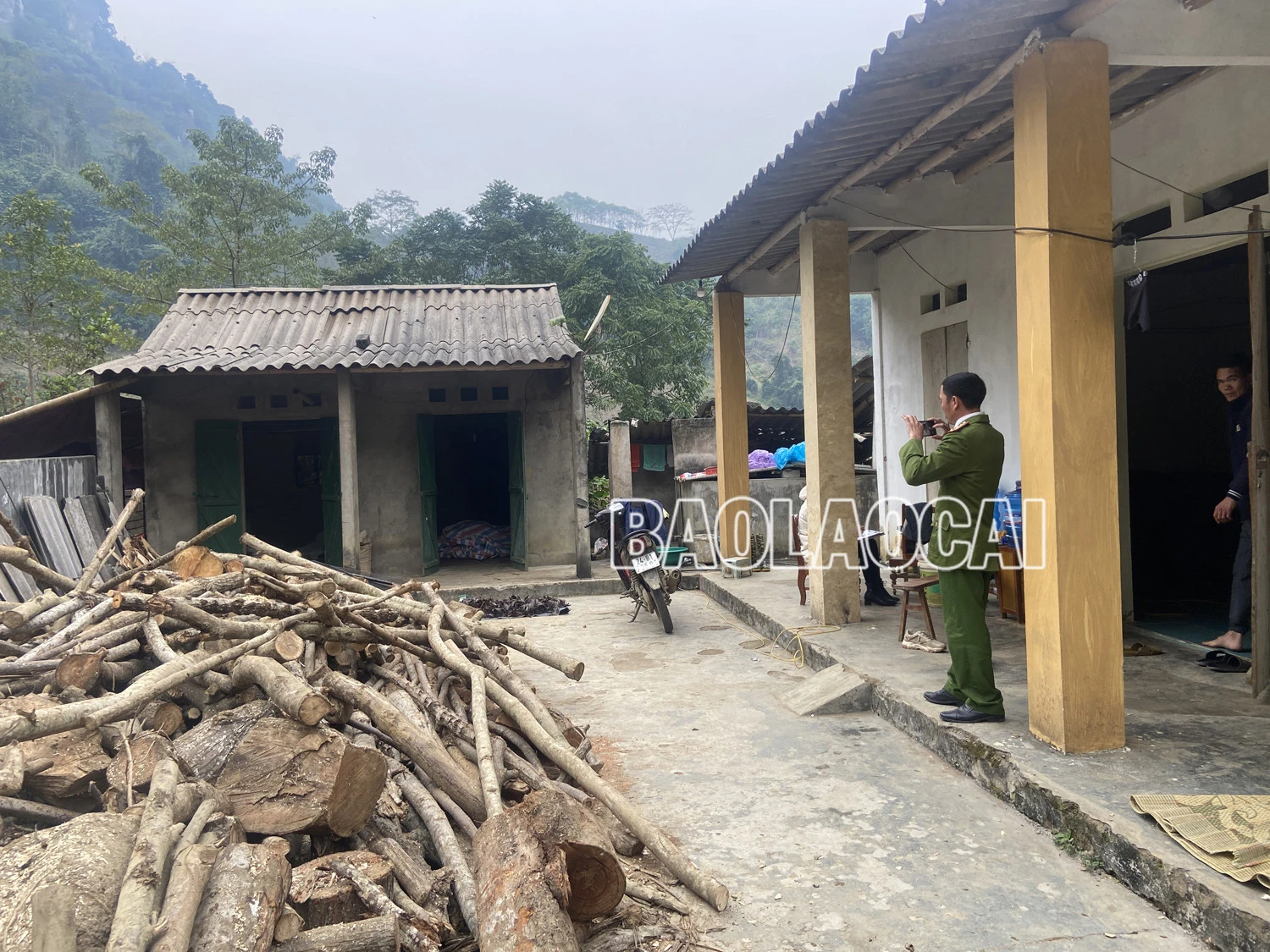Buộc một cơ sở thu mua, sơ chế giun đất tại xã Phong Niên (Bảo Thắng) dừng hoạt động ảnh 1