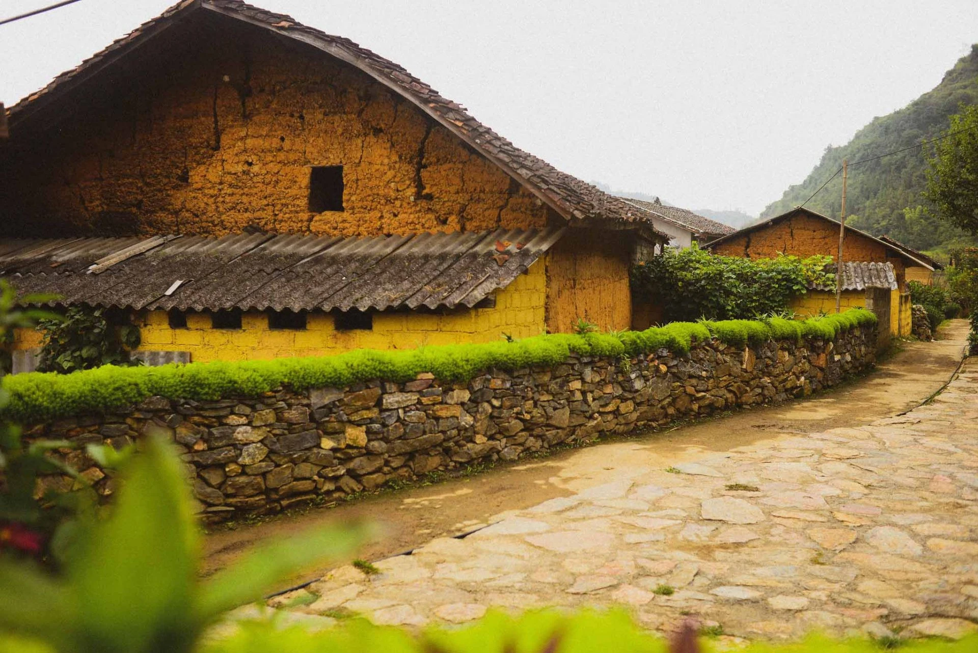 Thu về trên bản Lô Lô Chải ảnh 5 Thu về trên bản Lô Lô Chải ảnh 5