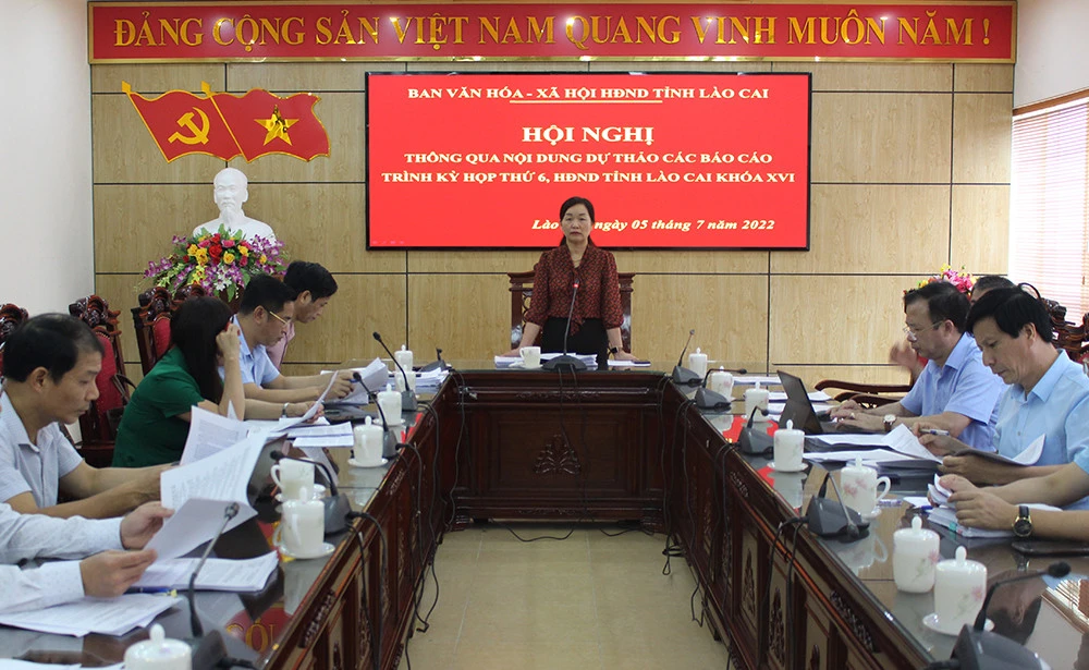 Ban Văn hóa - Xã hội HĐND tỉnh: Thông qua các dự thảo báo cáo trình kỳ họp thứ 6, HĐND tỉnh khóa XVI ảnh 1