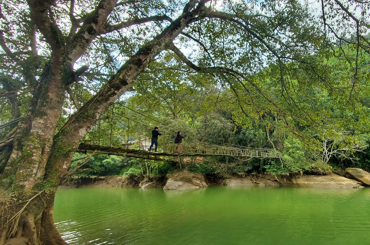 Du khách khám phá, trải nghiệm cầu Mây cổ.