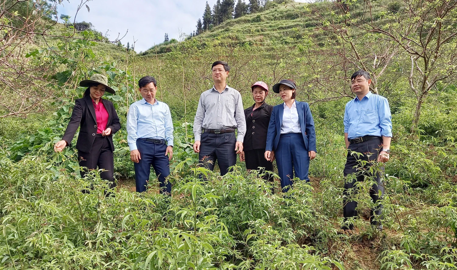 Chủ tịch Hội Nông dân tỉnh Bùi Quang Hưng thăm mô hình trồng cây dược liệu tại Bắc Hà.