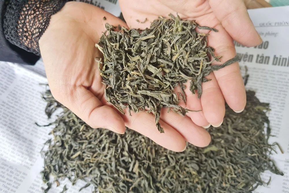 Lên núi thưởng trà… ảnh 2