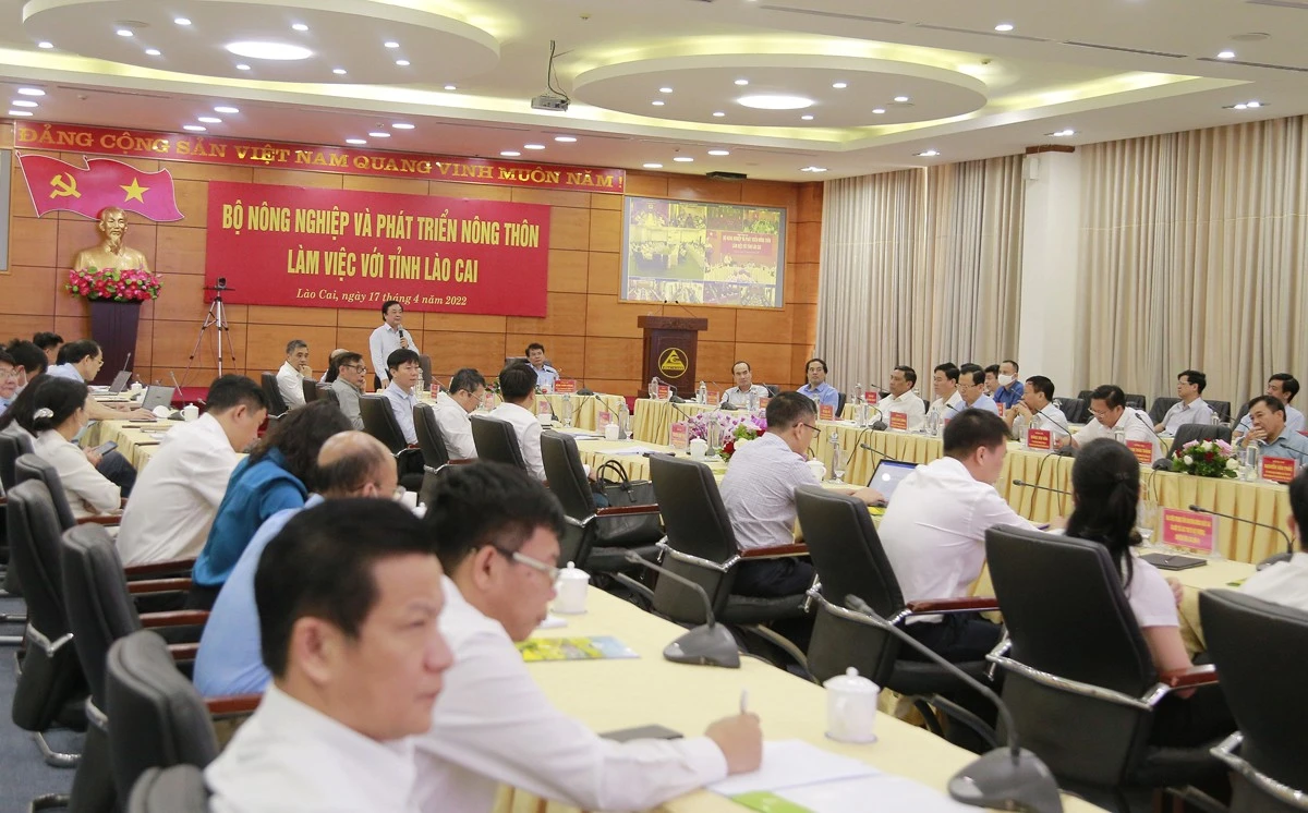 Bộ trưởng Bộ Nông nghiệp và PTNT&nbsp;làm việc với tỉnh Lào Cai về chiến lược phát triển nông nghiệp, nông thôn ảnh 1