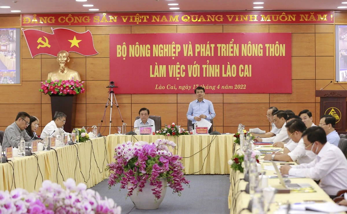Bộ trưởng Bộ Nông nghiệp và PTNT&nbsp;làm việc với tỉnh Lào Cai về chiến lược phát triển nông nghiệp, nông thôn ảnh 3