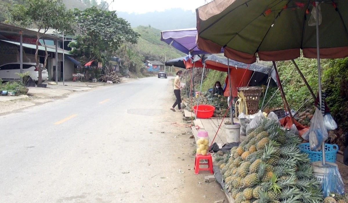 Do không có thương lái mua gom, nên người dân các xã Lùng Vai, Bản Lầu phải mang dứa ra ven Quốc lộ 4D bán lẻ.