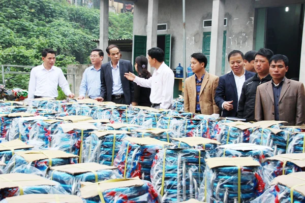 Các xã tiếp nhận ghế.