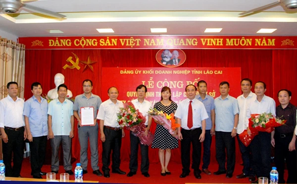 Thành lập Chi bộ cơ sở Công ty Cổ phần Xây dựng cấp thoát nước Lào Cai ảnh 2