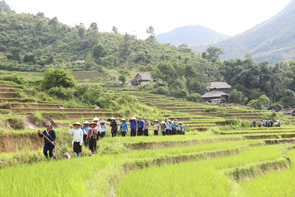 Thăm đồng, nét văn hóa riêng của phụ nữ Tày Văn Bàn.