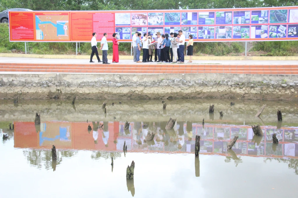 Đoàn chuyên gia Quốc tế UNESCO/ICOMOS khảo sát, thẩm định tại Bãi cọc Yên Giang (ảnh: Trung tâm TT&amp;VH TX Quảng Yên).