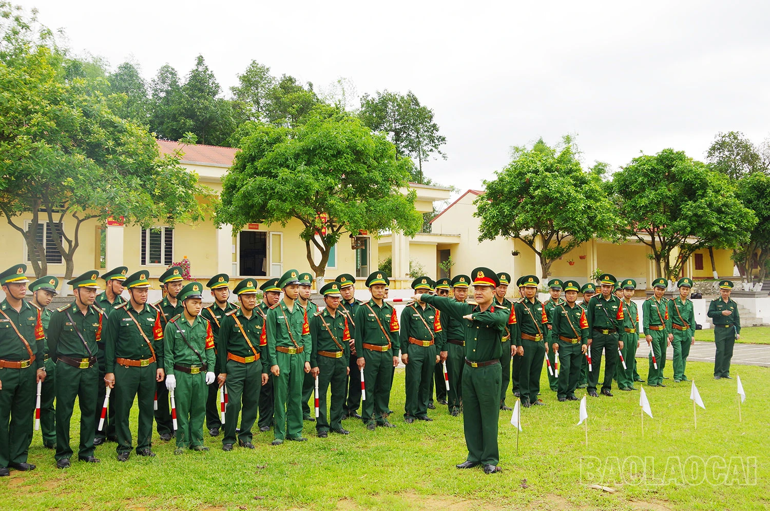 ks11.jpg