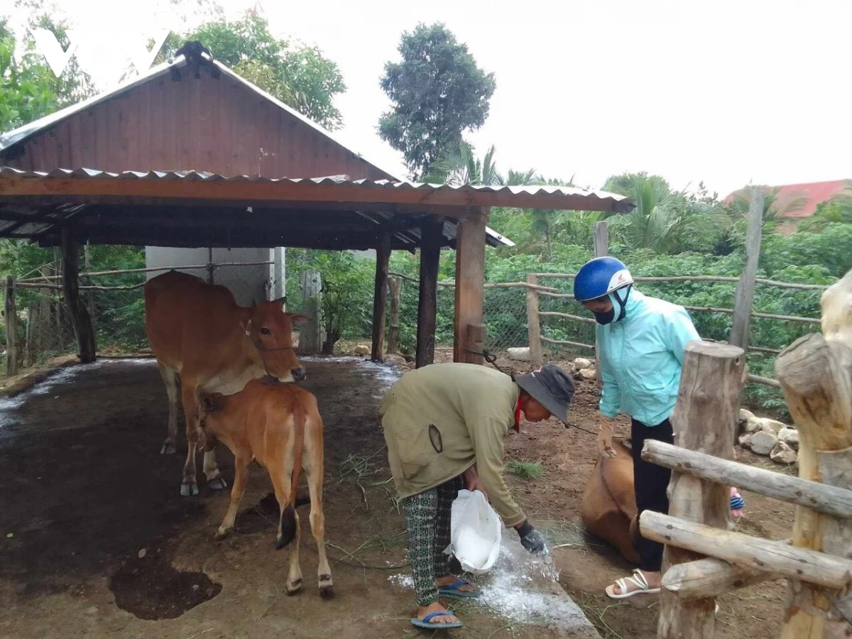 Người dân làng Bông Pim tiêu độc khử trùng chuồng trại bằng vôi bột (Ảnh: Nguyễn Thảo).
