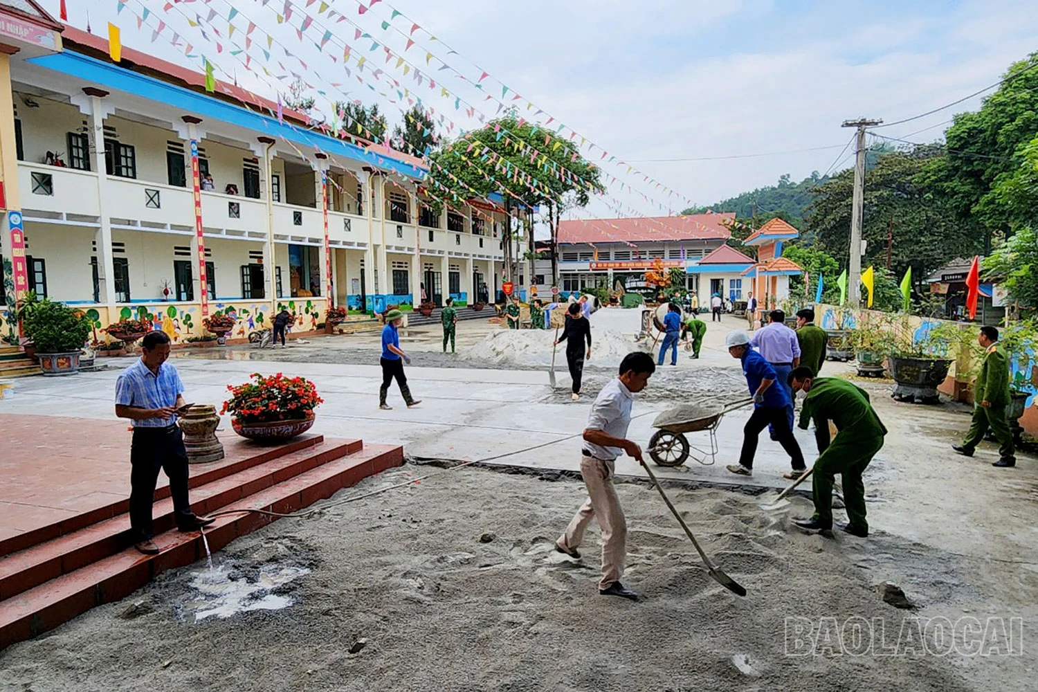 bv.jpg