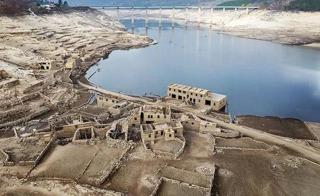 tg1.jpg