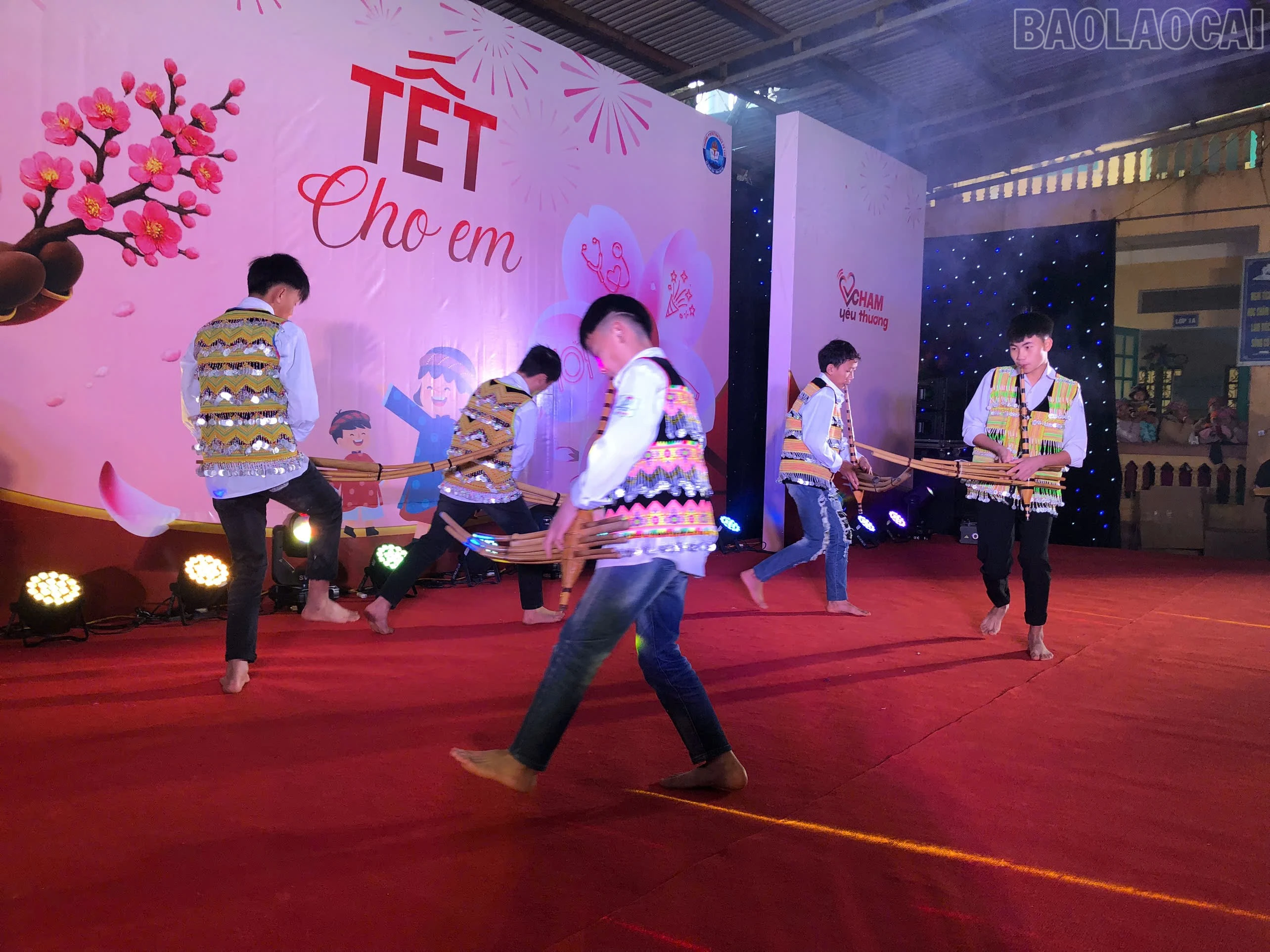 baolaocai-tr_5.jpg