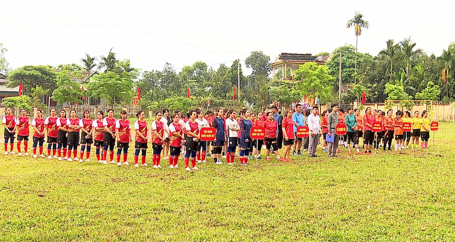 baolaocai-tr_bd321.jpg