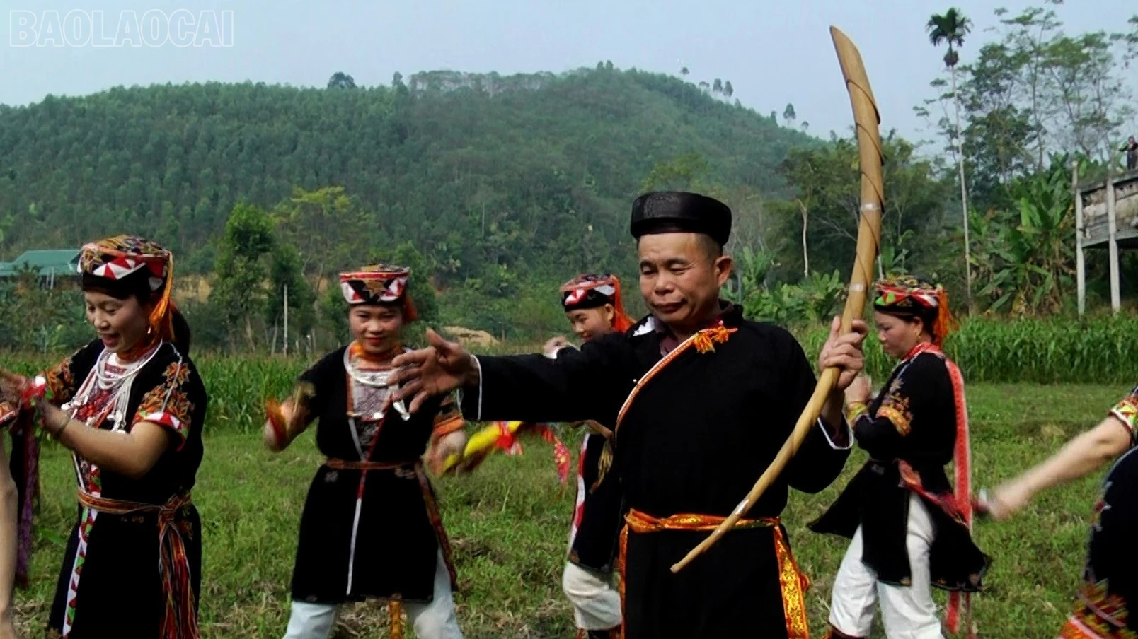 baolaocai-tl_dao3-7388.jpg