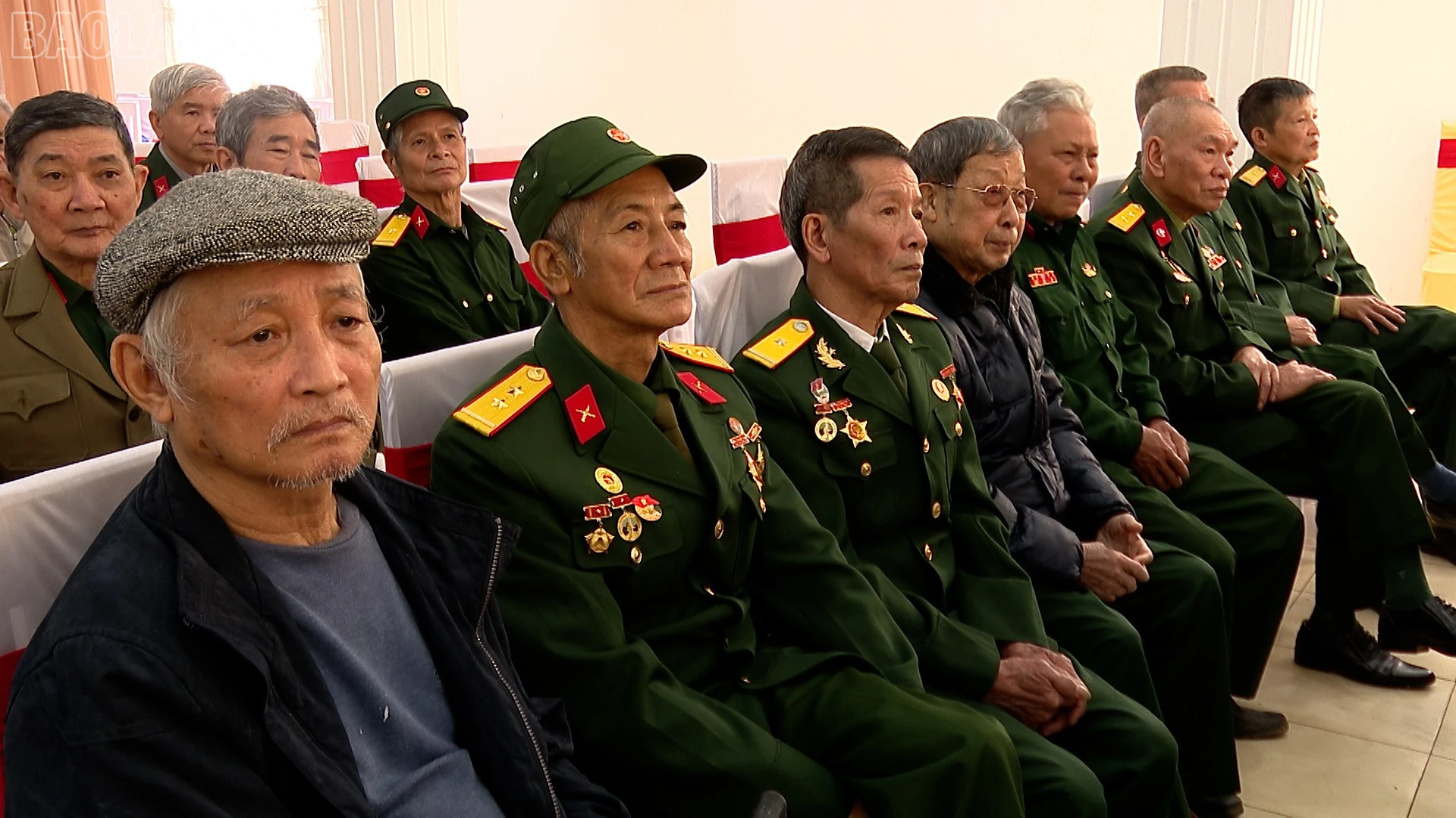 baolaocai-tl_s4.jpg