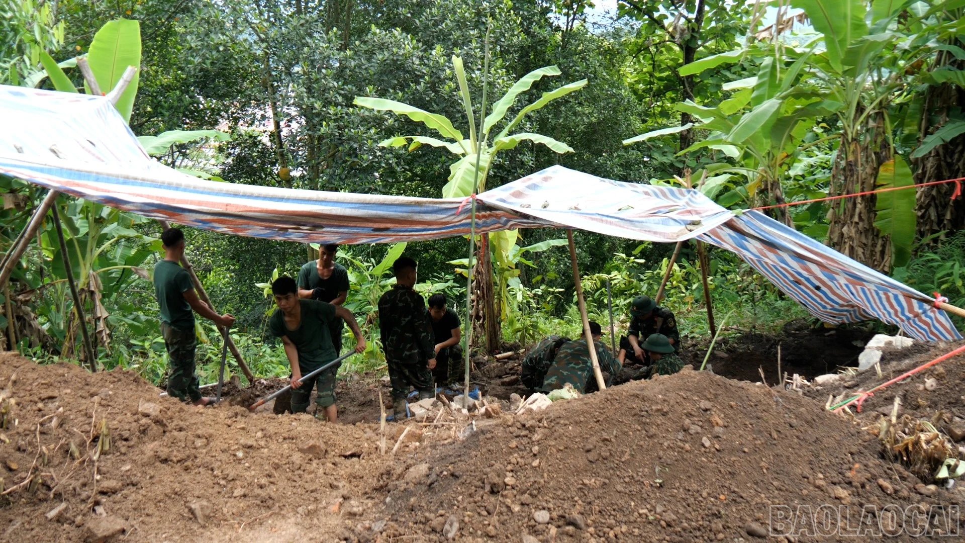 baolaocai-br_111100-18-42-16still008.jpg