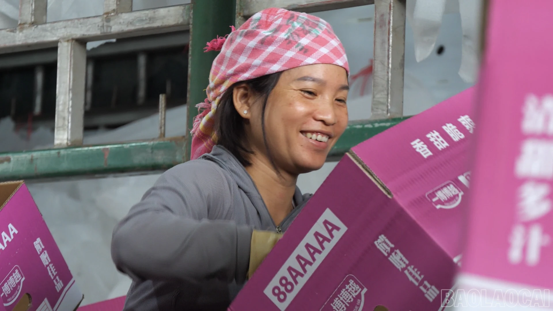 baolaocai-br_lao-dong-sau-tet00-07-02-16still004.png