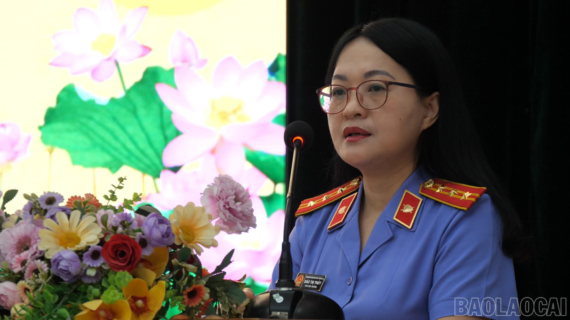 baolaocai-br_anh-vsk1.png