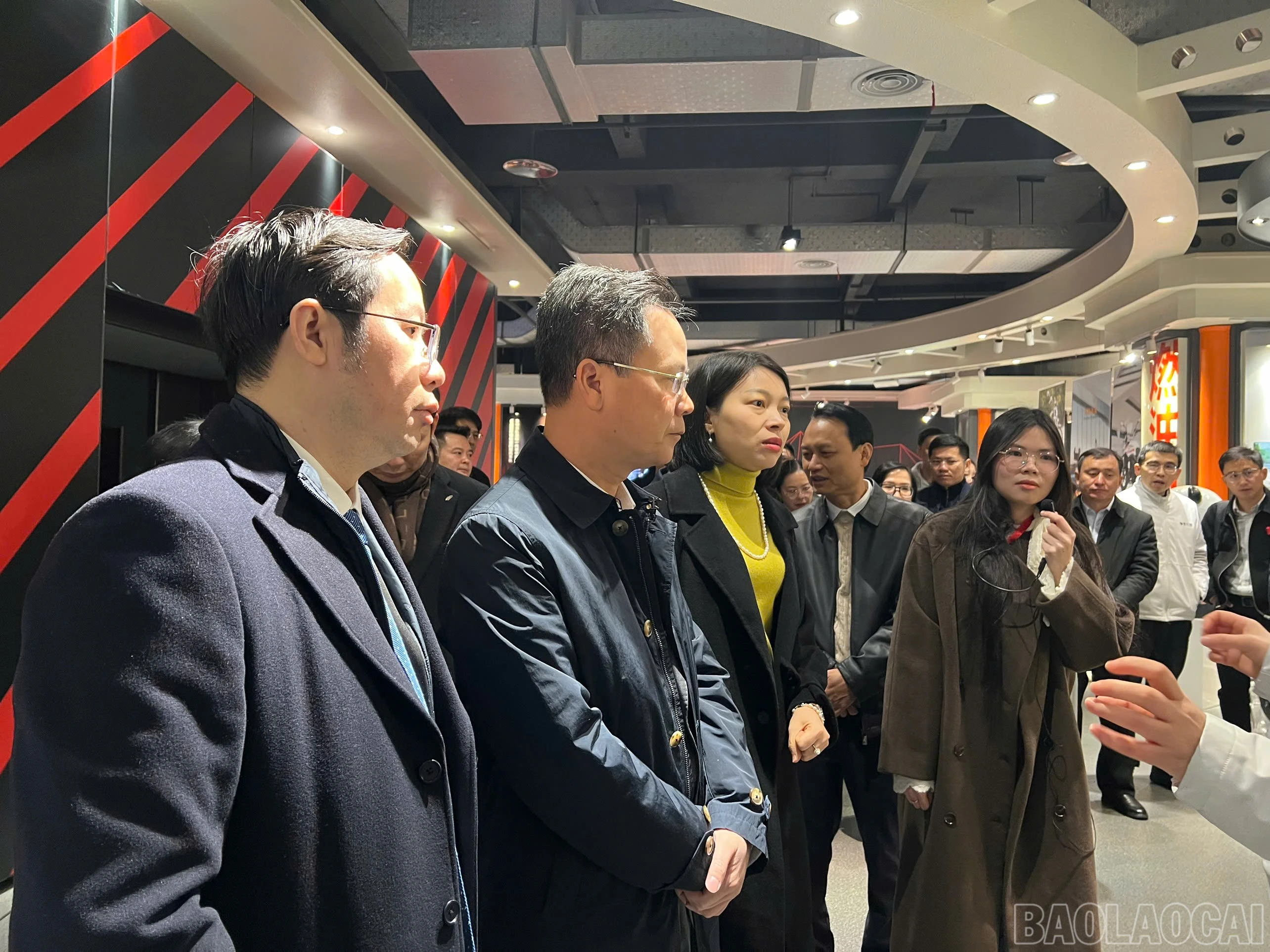 baolaocai-br_328081608912080876838.jpg