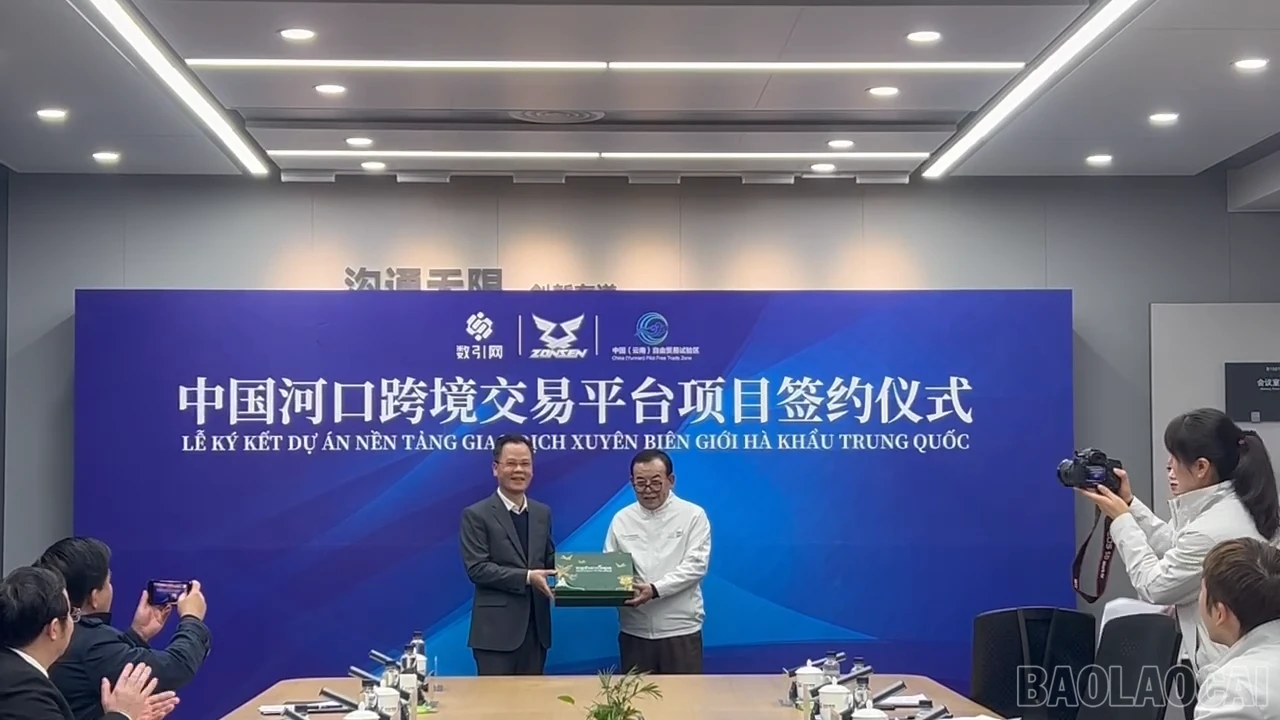 baolaocai-br_138450010220382290100-04-52-15still009.png