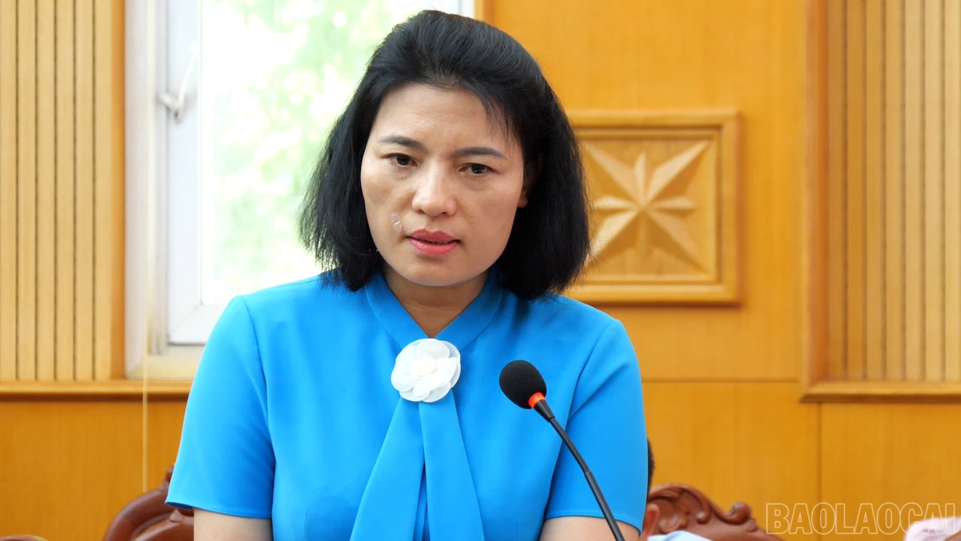 baolaocai-br_khoi-td-10-phuong00-01-53-24still005.jpg