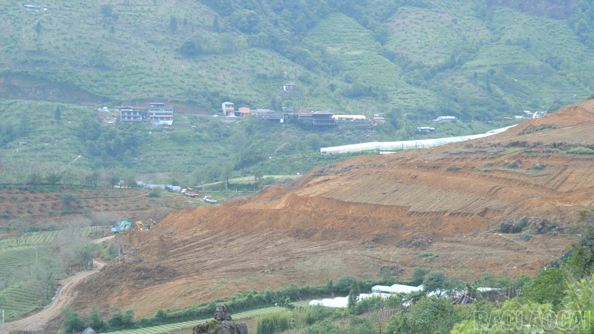 baolaocai-br_cam-diio00-07-45-58still014.png
