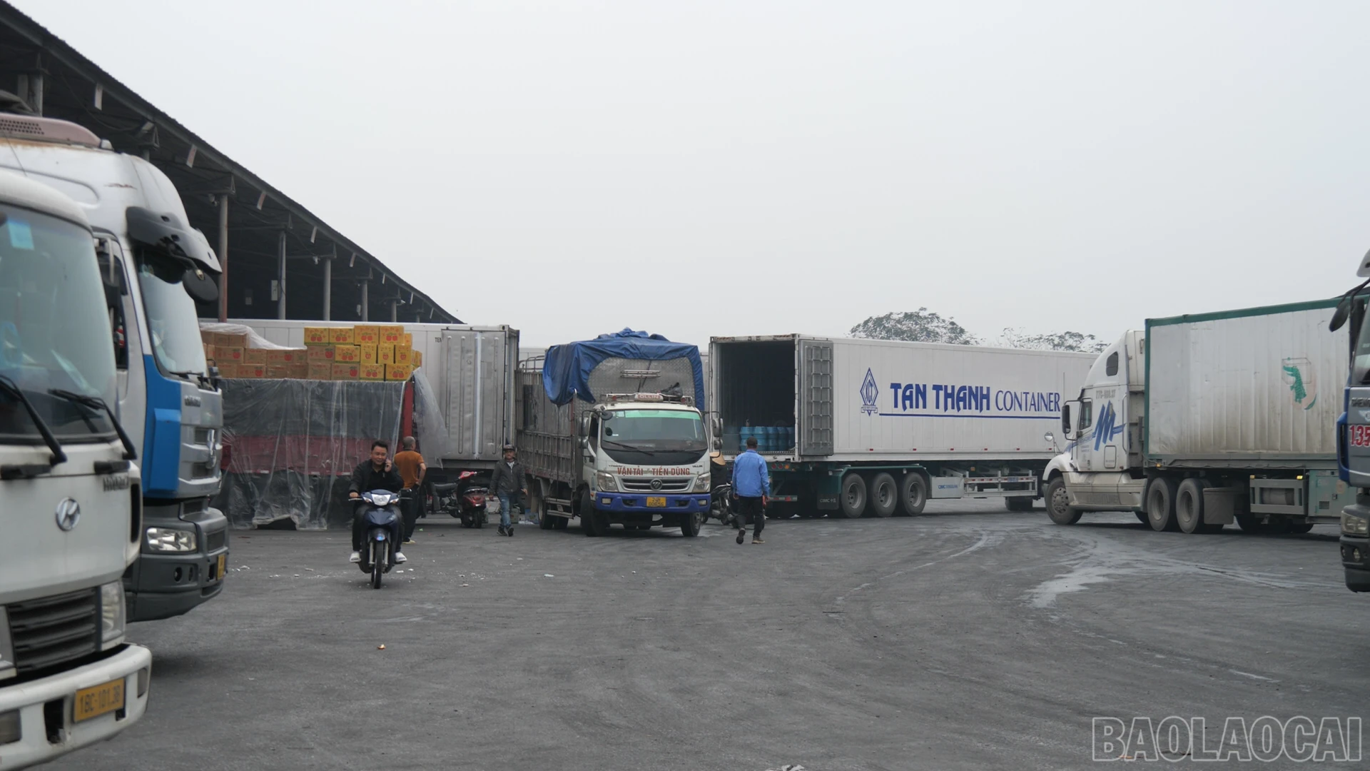baolaocai-br_thong-quan00-17-42-04still003.png