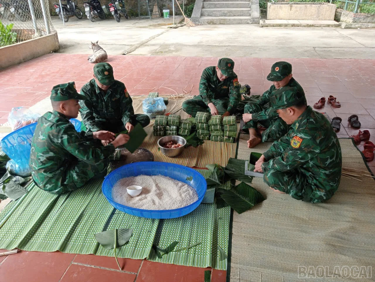 baolaocai-br_4594963159730061196.jpg
