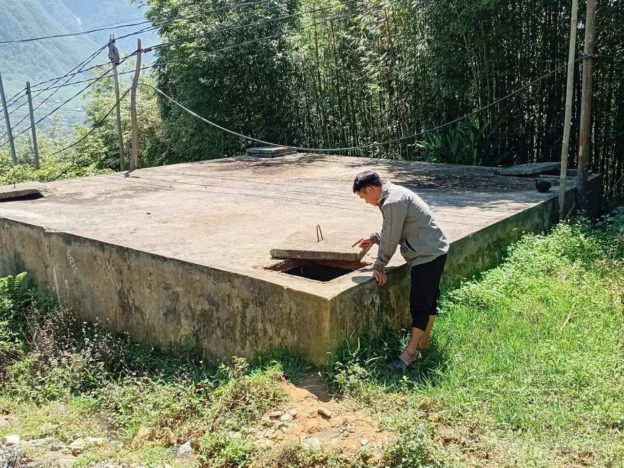 baolaocai-br_3717072692680946700.jpg