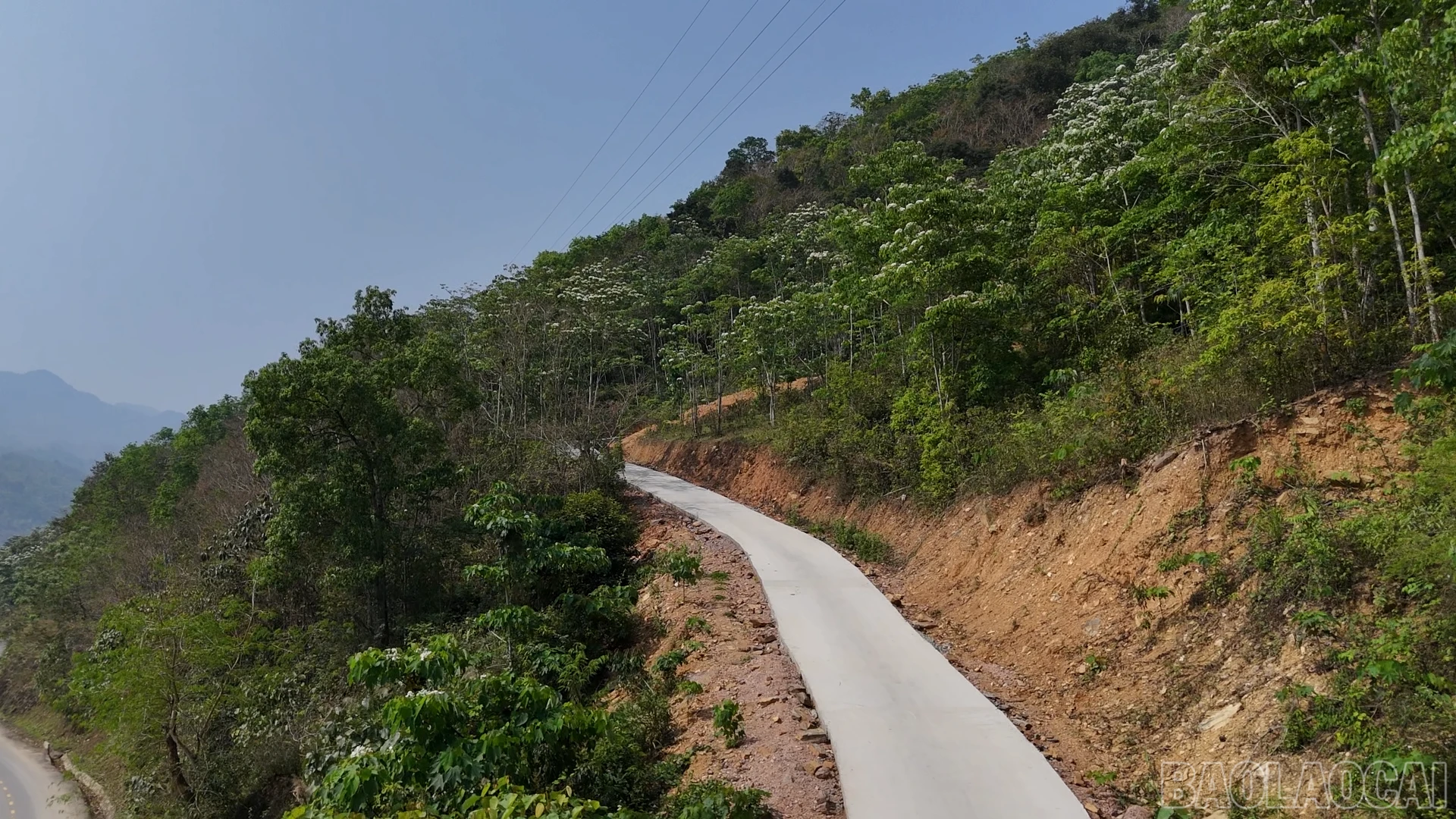 baolaocai-br_gia-phu00-03-53-21still002.png