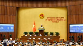 Loạt chính sách kinh tế nổi bật có hiệu lực từ tháng 10 năm 2026