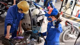 VCCI đề nghị làm rõ việc hoàn trả khoản ngân sách tạm ứng cho Quỹ bình ổn giá xăng dầu