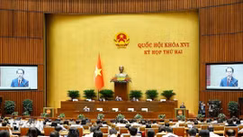 Luật Nhà ở sửa đổi thêm chương về nhà cho thuê, cắt 3/4 điều kiện kinh doanh