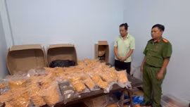 Triệt phá đường dây ma túy "khủng" liên tỉnh, bắt giữ 151 đối tượng