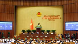 Thông cáo báo chí số 16, Kỳ họp không thường lệ thứ Nhất, Quốc hội khóa XVI