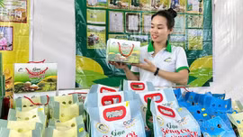 Lào Cai có 3 nông dân được công nhận “Nông dân Việt Nam xuất sắc 40 năm Đổi mới” năm 2026