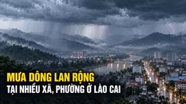 Ngày 7/9, mưa dông lan rộng tại nhiều xã, phường ở Lào Cai