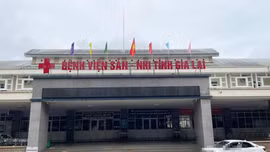 Bé gái 4 tuổi tử vong do bệnh dại sau thời gian thường xuyên chơi, ôm ấp và ngủ cùng mèo